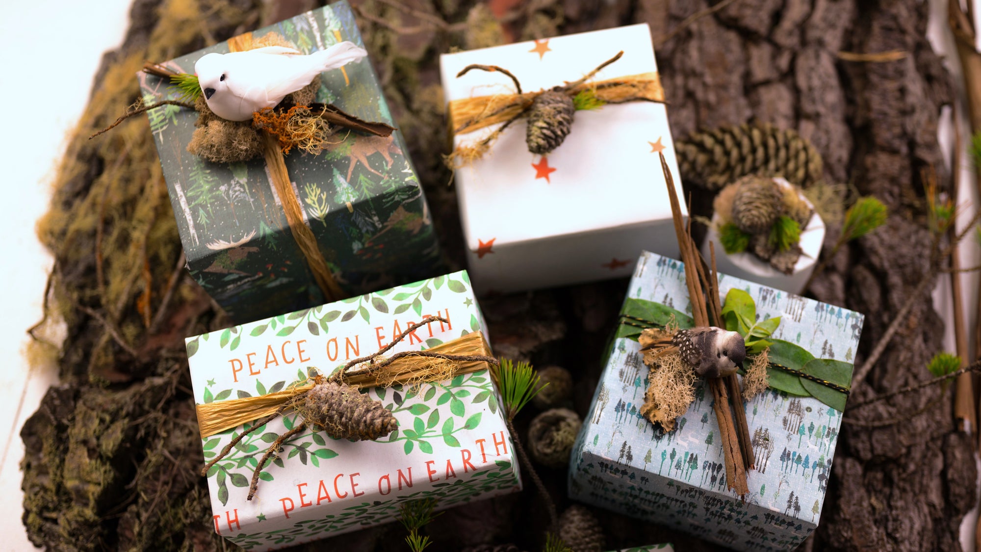 Creative and Eco Friendly Ways to Gift Wrap a Book — Sum of their Stories  Craft Blog