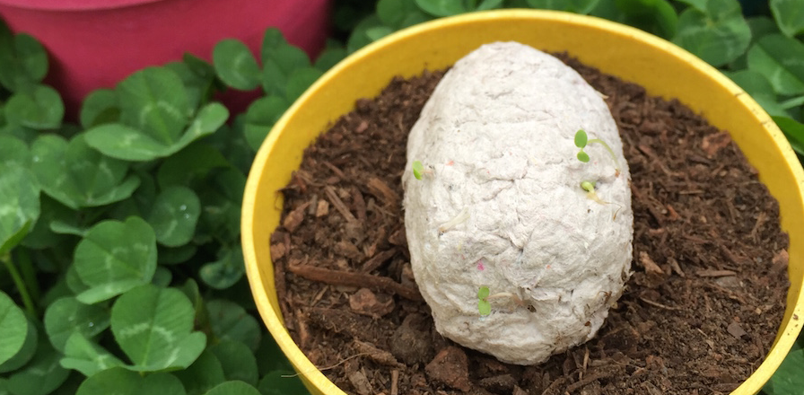 Plantable Seed Bomb Easter Eggs
