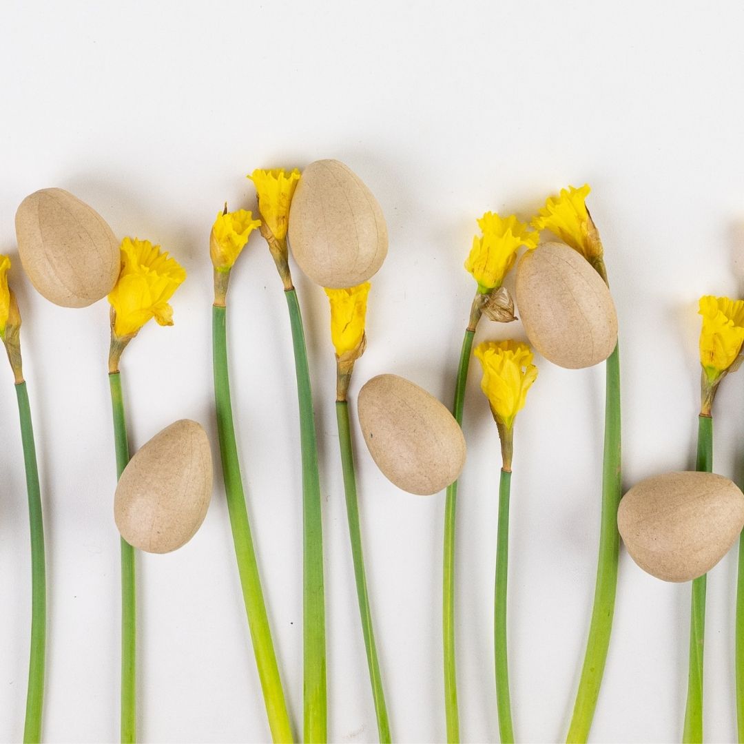 Ecofriendly Spring Celebrations PlasticFree, Recyclable Gift Wrap